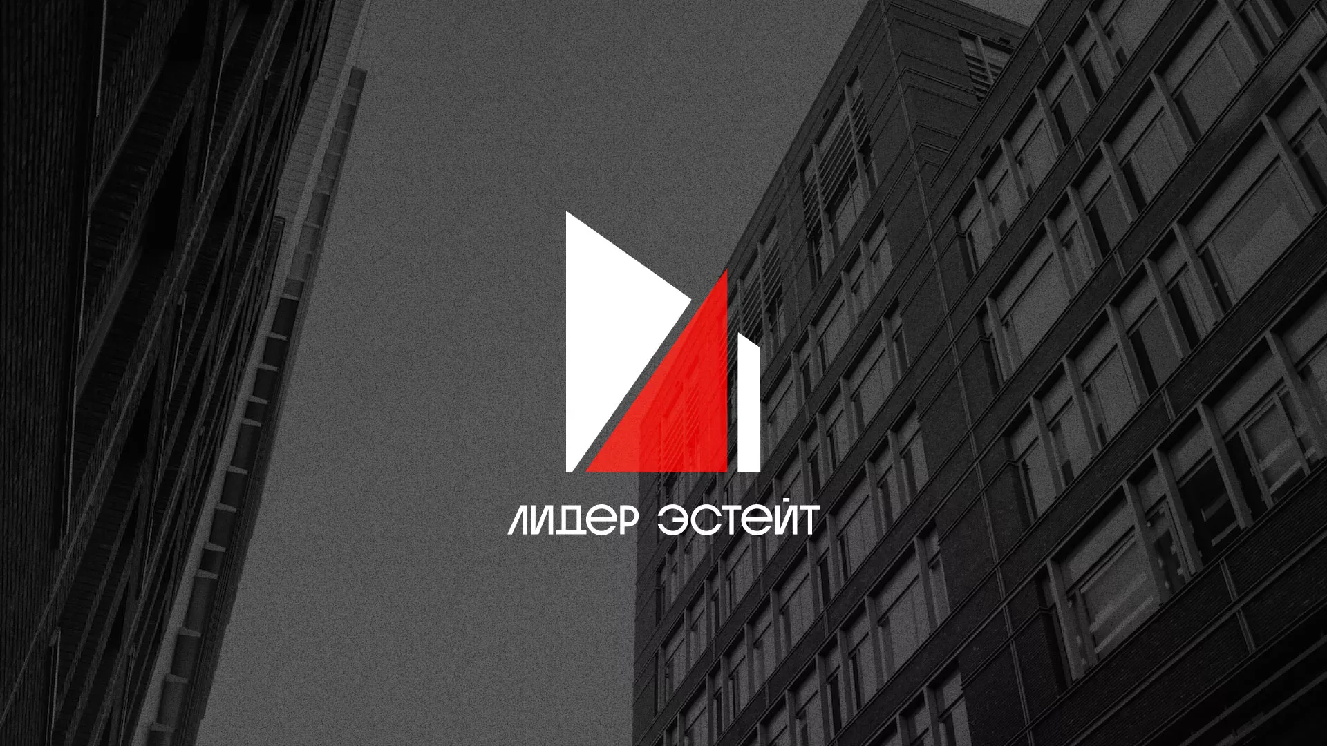 Сделали логотип для агентства недвижимости «Лидер Эстейт» в Нерюнгри